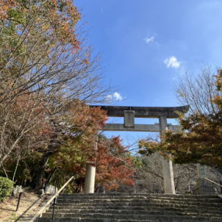 竈門神社鳥居